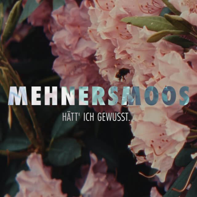 hatt ich gewusst