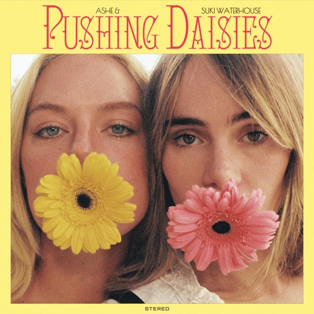 pushing daisies