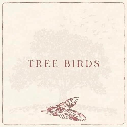 tree birds