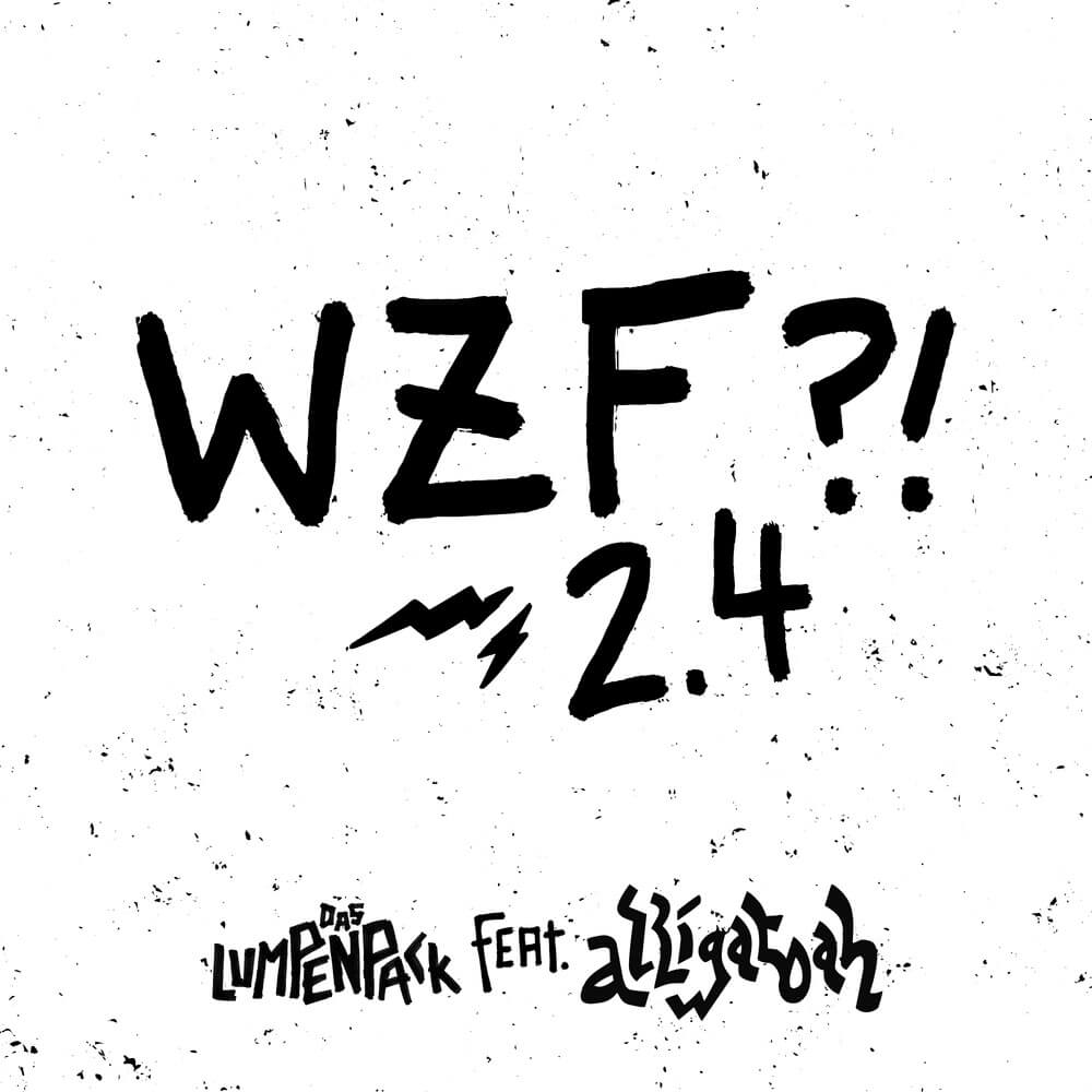 wzf 24
