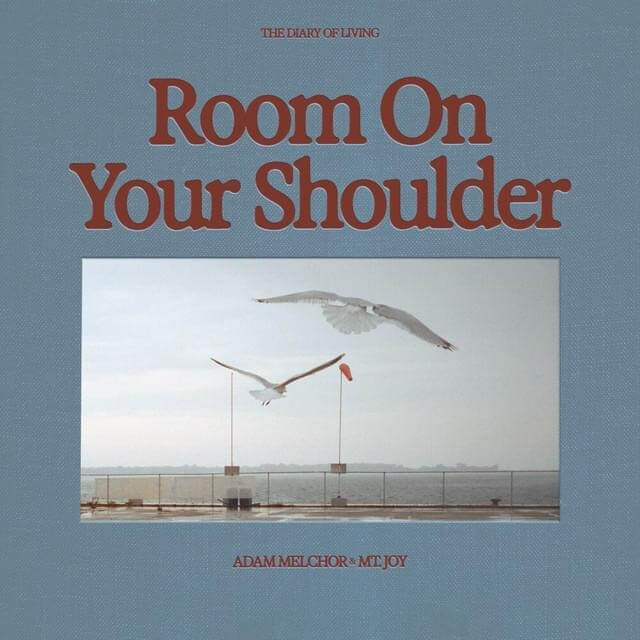 room on your shoulder
