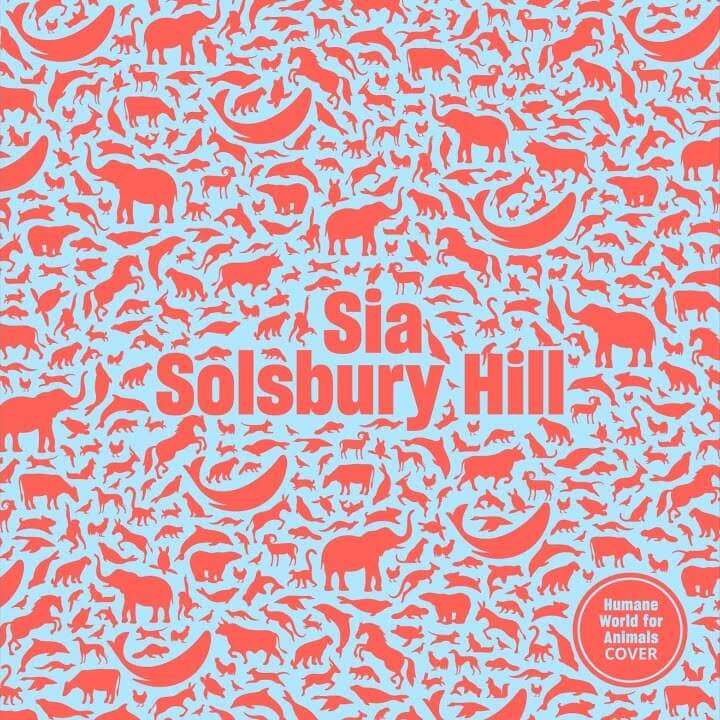 solsbury hill